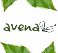 Avena