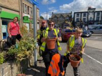 The ‘Buzzing Skipton’ project is now underway in Skipton in 2025